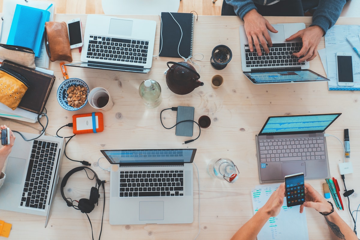 Career Roadmap — Alviora AI career feature